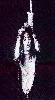 Alice Cooper